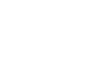 WINNER – Greenflash International film festival – 2023